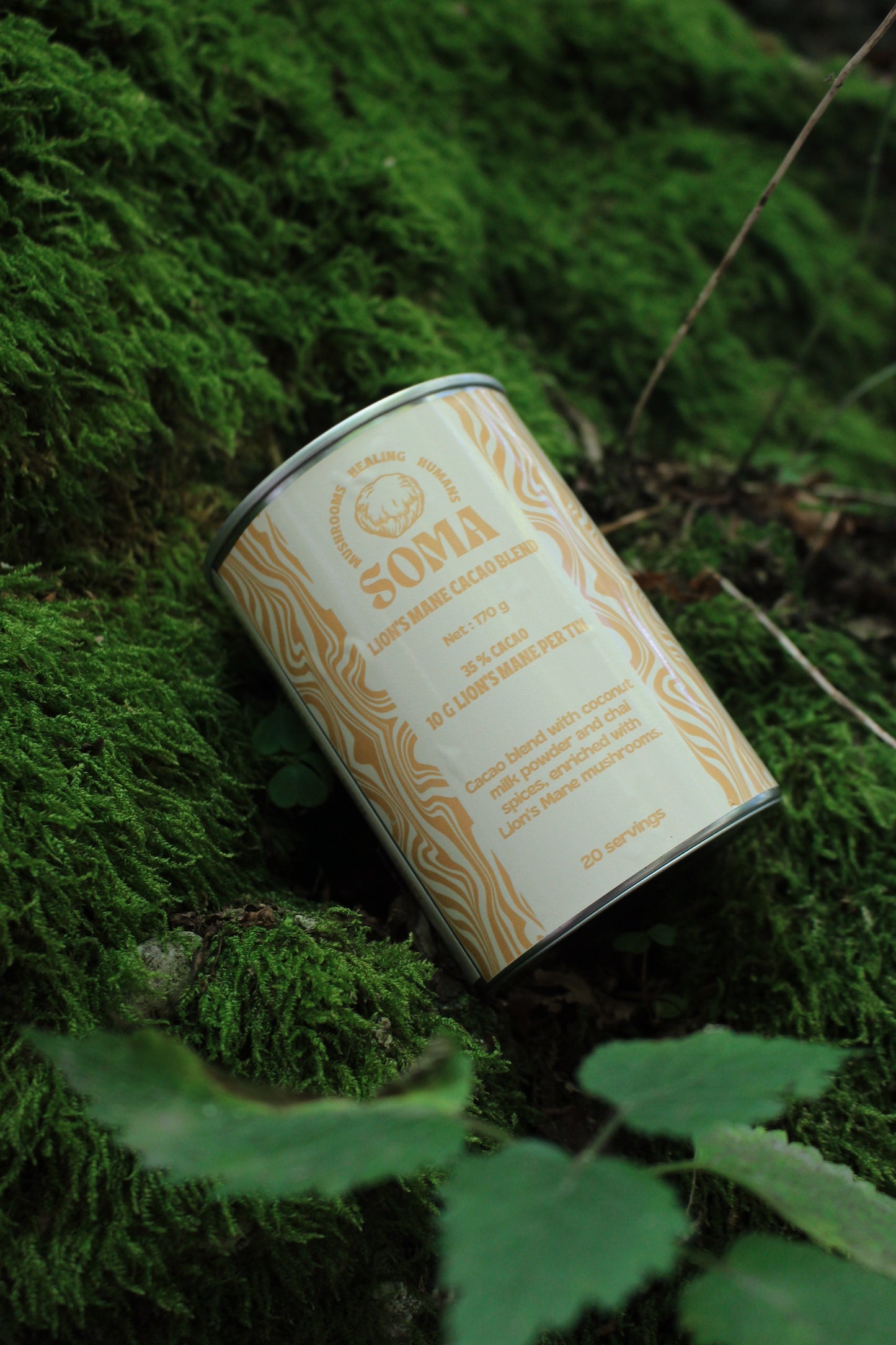 Lion's Mane cacao