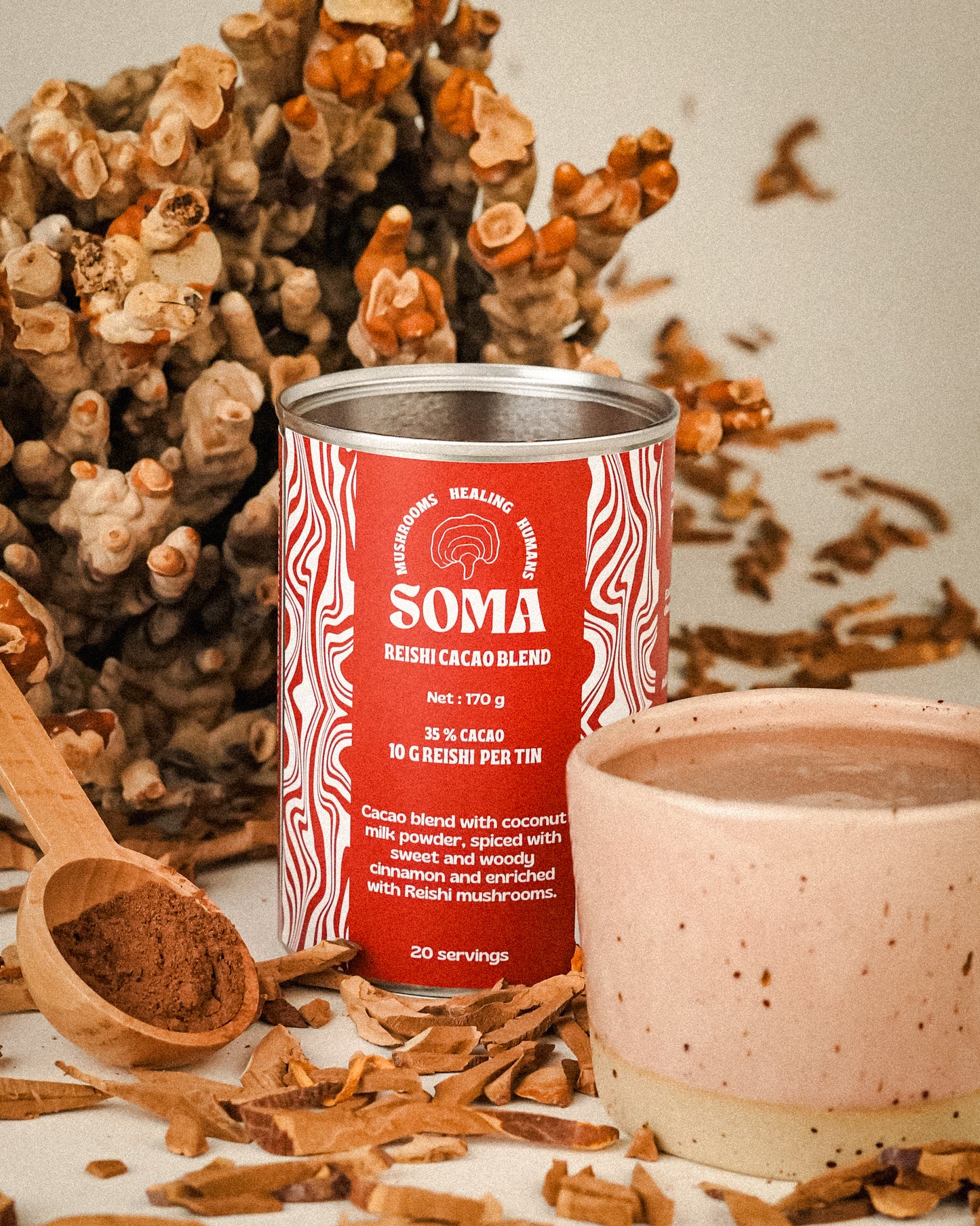 Reishi cacao