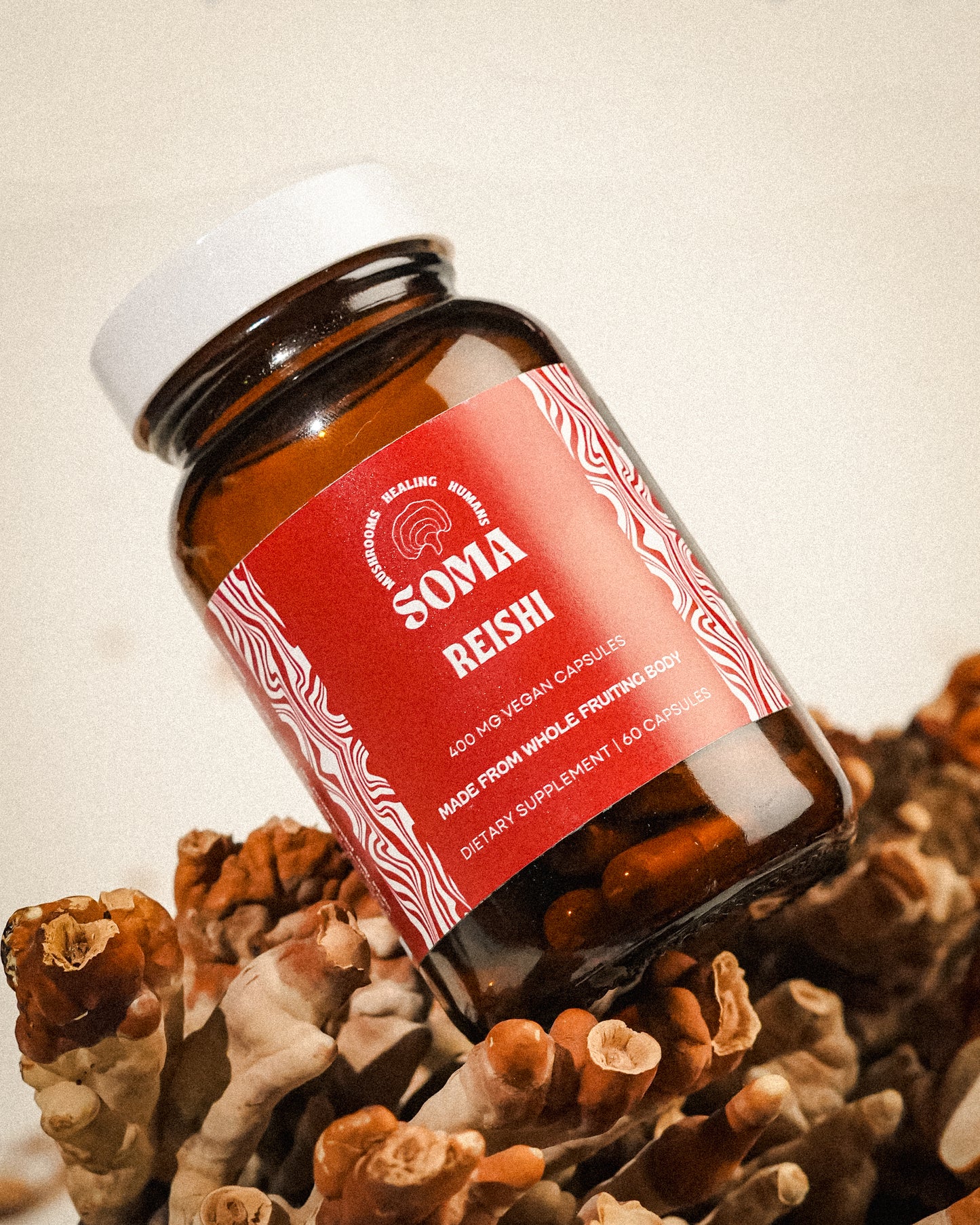 Reishi kapsule