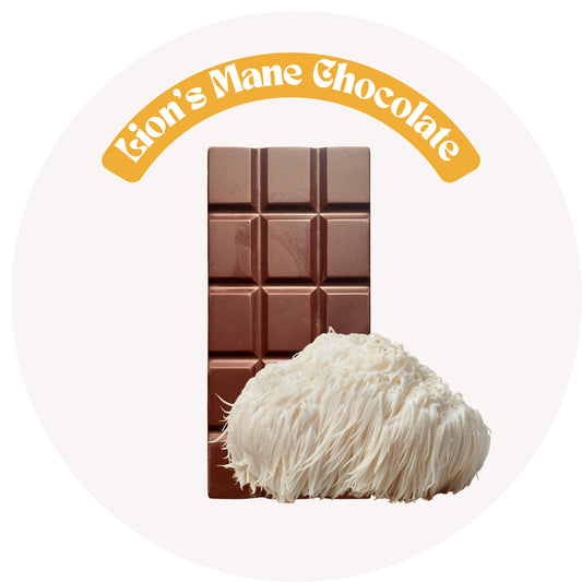 Lion's Mane chocolate bar