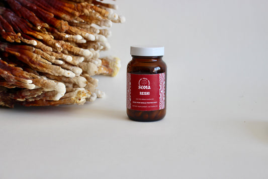 Reishi kapsule