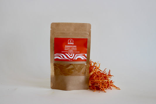Cordyceps extract powder